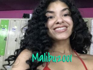 Malibu2001