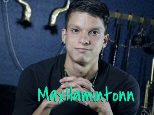 MaxHamintonn
