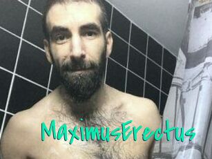 MaximusErectus