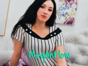 MeganFlow