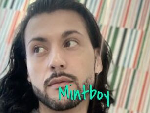 Mintboy