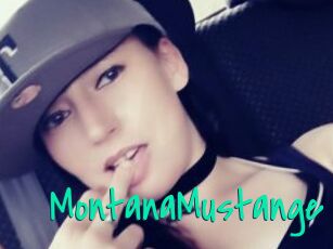 MontanaMustange