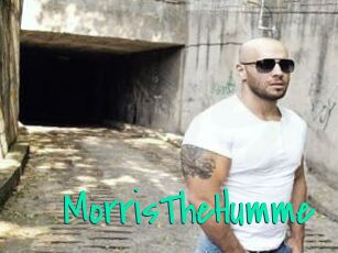 MorrisTheHumme Cool Sexe