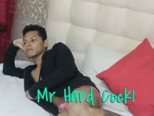 Mr_Hard_Cock1