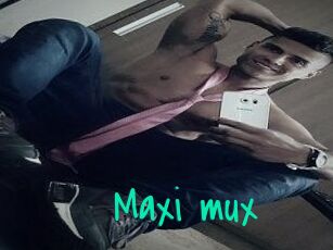 Maxi_mux