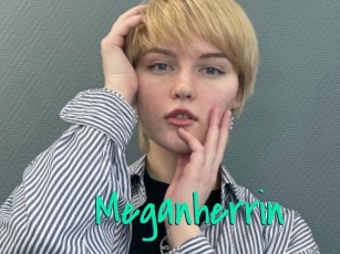 Meganherrin