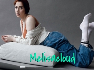 Melisacloud