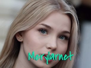 Merylarnet