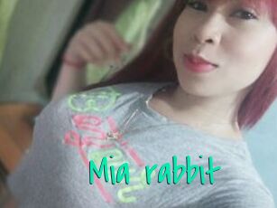 Mia_rabbit