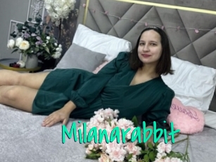 Milanarabbit