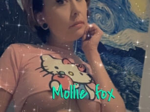 Mollie_fox