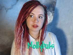 Mollybuls