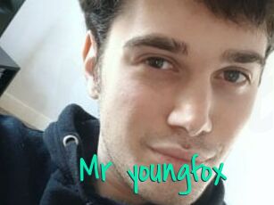 Mr_youngfox