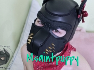 Msaintpuppy