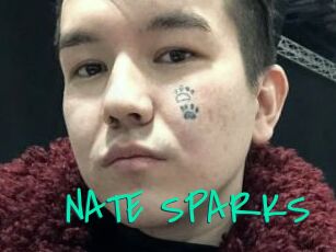NATE_SPARKS