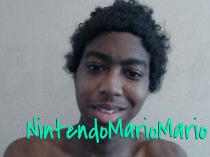 NintendoMarioMario