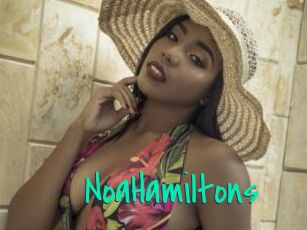 NoaHamiltons