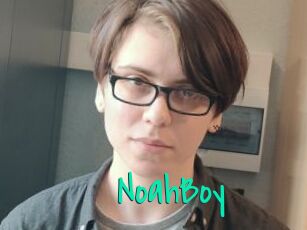NoahBoy