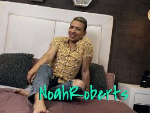 NoahRoberts