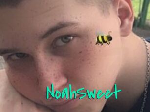 NoahSweet