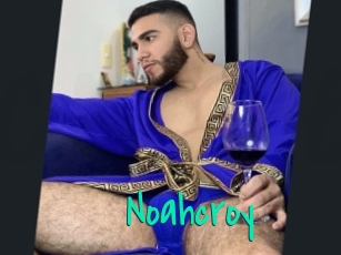 Noahcroy