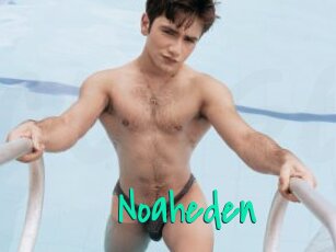 Noaheden