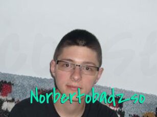 Norbertobadzso