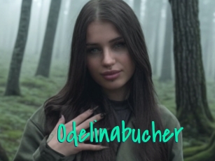 Odelinabucher