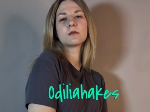 Odiliahakes