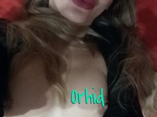 Orhid