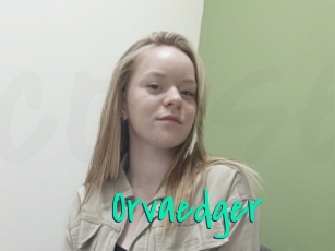 Orvaedger