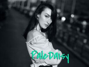 PaleDaisy Cool Sexe