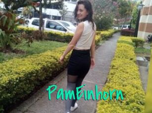 PamEinhorn