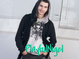 PlayfulNigel