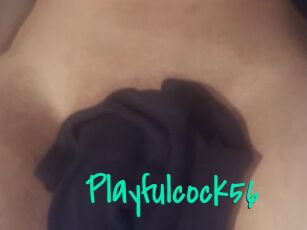 Playfulcock56
