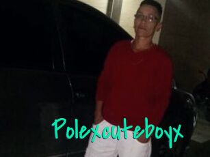 Polexcuteboyx