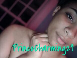 PrinceCharming29