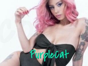 PurpleCat