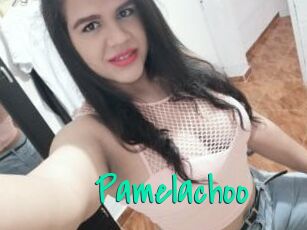 Pamelachoo