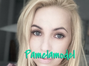 Pamelamodel