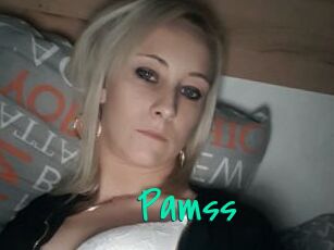 Pamss