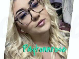 Paytonnrose