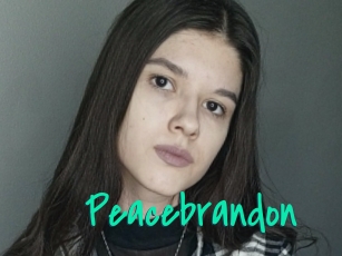 Peacebrandon