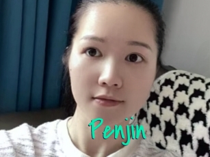 Penjin