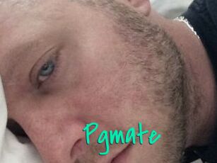 Pgmate