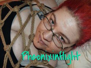 Pheonixinflight