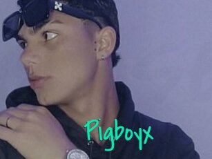 Pigboyx