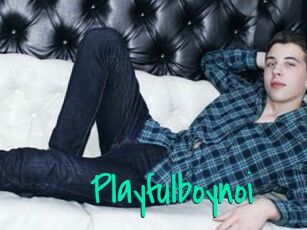 Playfulboynoi