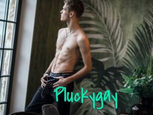 Pluckygay
