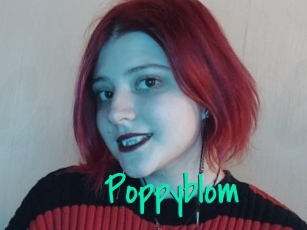 Poppyblom